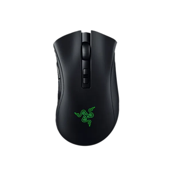 Razer DeathAdder V2 Pro 1