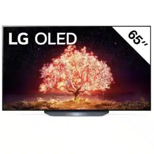 OLED65B1